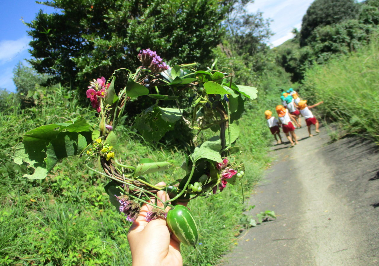 ひかりのはたけ